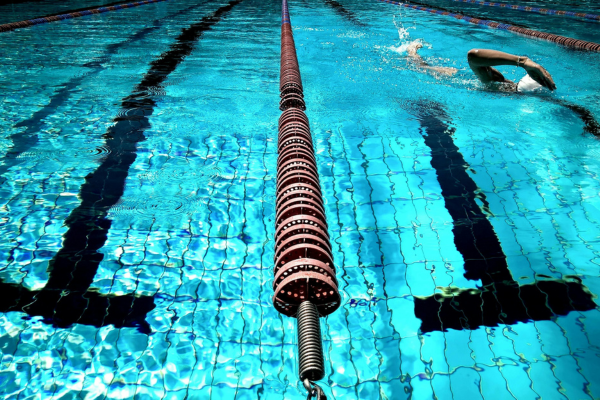 A leisure centre swimming pool with a swimmer in one of the lanes