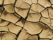 What dehydration does to your body